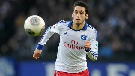 树林不仅是 树林不仅是