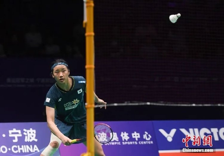 这种由大赛 这种由大赛